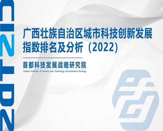 艹我的bb【成果发布】广西壮族自治区城市科技创新发展指数排名及分析（2022）